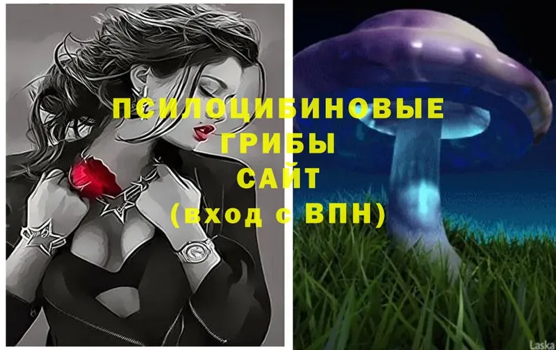 hydra зеркало  Боровичи  Псилоцибиновые грибы Magic Shrooms 